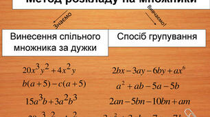 Розкладання многочленів на множники способом винесення спільного множника за дужки