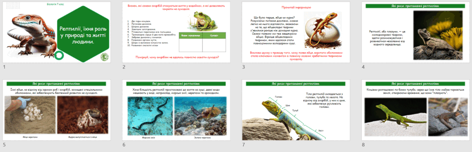 0603ali8-3a6c-940x303.png