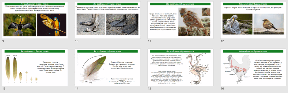 0603aljy-19b9-940x303.png
