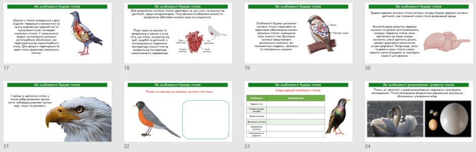 0603aljz-5a46-940x300.png