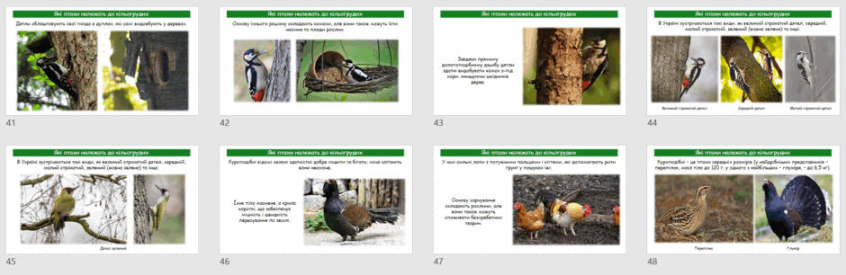 0603all1-de28-940x306.png