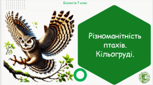 Презентація, конспект уроку та робочі аркуші на тему "Різноманітність птахів. Кільогруді". 7 клас НУШ