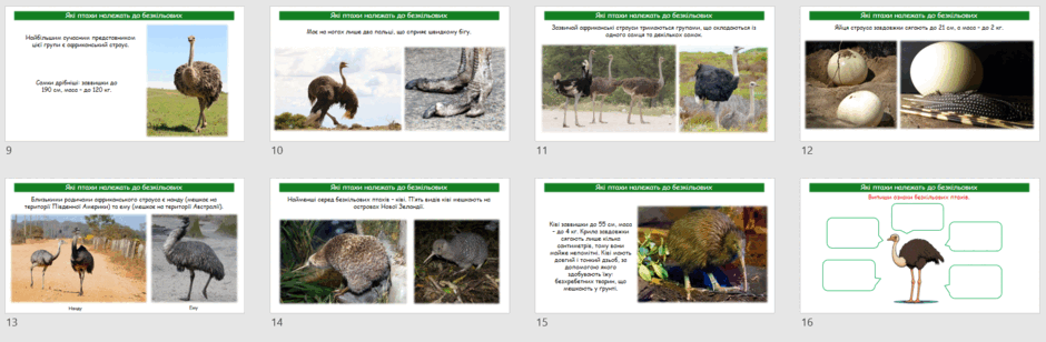 0603almm-68e1-940x308.png