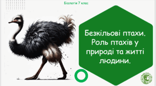 Презентація, конспект уроку та робочі аркуші на тему "Безкільові птахи. Роль птахів у природі та житті людини". 7 клас НУШ