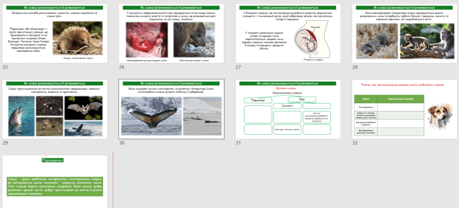 0603amxb-6285-940x426.png