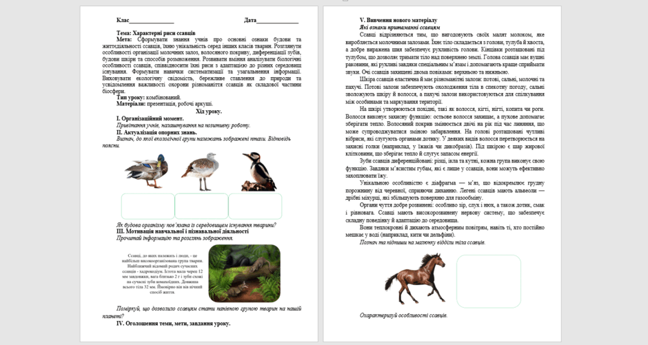 0603amxe-218e-940x501.png