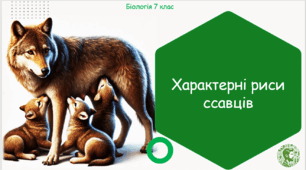 Презентація, конспект уроку та робочі аркуші на тему "Характерні риси ссавців". 7 клас НУШ