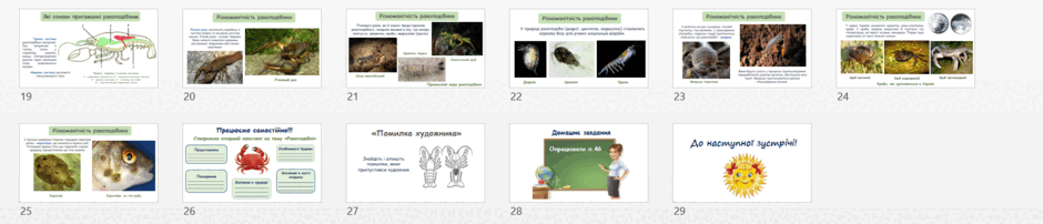 0603amys-2afc-940x202.png