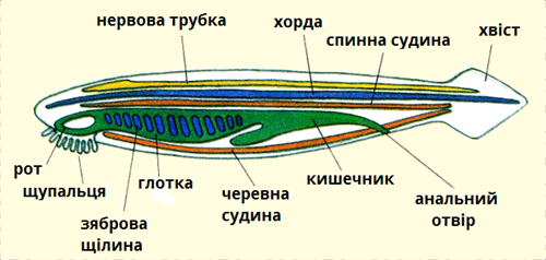 0603anhy-82b3-500x238.png