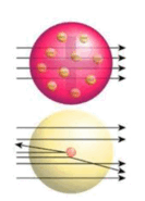 0603ao5f-c5a9-133x185.png