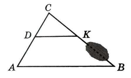 0603aqlv-0714-447x269.jpg