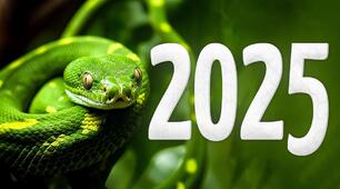 Новий рік  2025