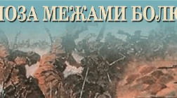 Осип Турянський. "Поза межами болю"