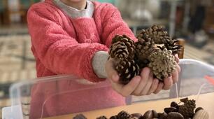 Сенсорні скриньки  в корекційній роботі вчителя-дефектолога та вчителя-логопеда при подоланні освітніх втрат дітей з особливими освітніми потребами