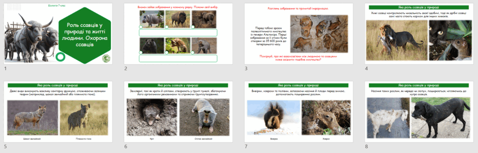 0603avd6-b08a-940x302.png