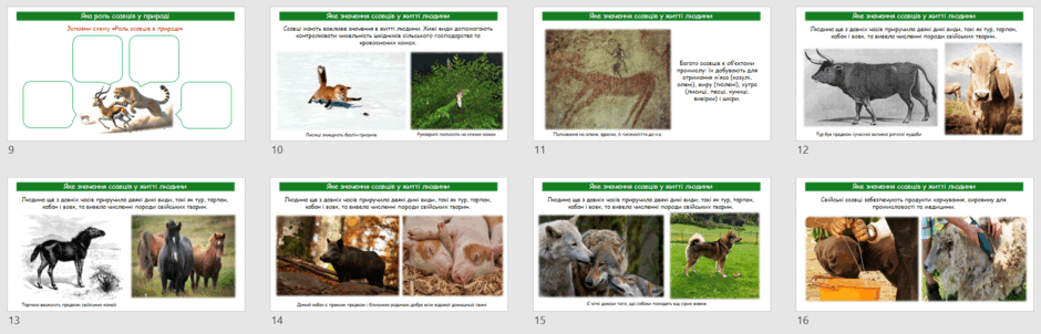 0603avda-f632-940x302.png