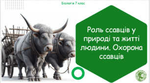 Презентація, конспект уроку та робочі аркуші на тему "Роль ссавців у природі та житті людини. Охорона ссавців". 7 клас НУШ