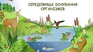 Середовища існування тварин 
