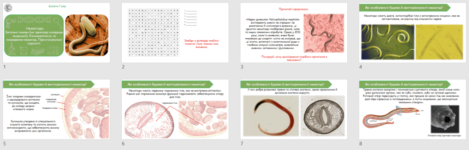 0603avvm-9762-940x302.png