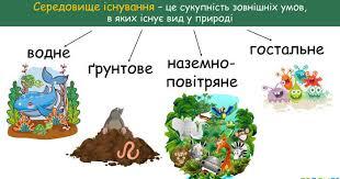 0603awh7-73d9-310x163.jpg
