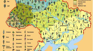 Робочий аркуш - Рослинний світ України 8 клас