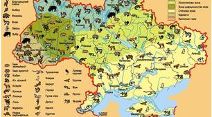 Робочий аркуш - Тваринний світ України 8 клас