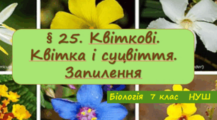 Презентація  до уроку  «§ 25. Квіткові. Квітка і суцвіття. Запилення»   7клас  НУШ