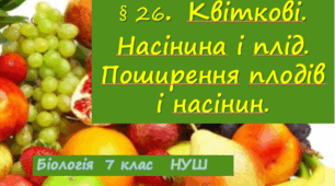 Презентація  до уроку  «§ 26. Квіткові. Насінина і плід. Поширення плодів і насінин» 7клас  НУШ