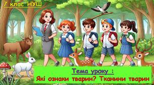 Презентація з біології для учнів 7 класу НУШ. Тема уроку: Які ознаки тварин? Тканини тварин.
