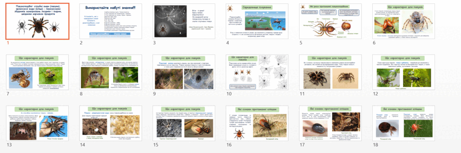 0603azlw-13f0-940x313.png