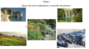 Individual and group lexical tasks