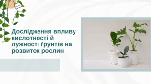 Дослідження впливу кислотності й лужності ґрунтів на розвиток рослин