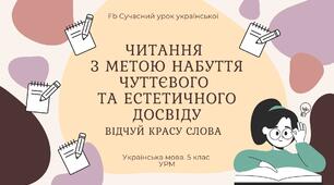 РМ "Текст. Читання з метою набуття чуттєвого та естетичного досвіду" УРМ Презентація