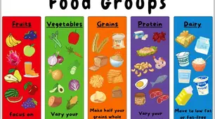 Food Groups