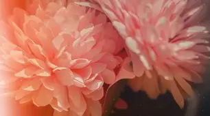 Імітація НМТ-24-25- Л