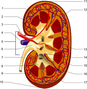 0603b5cp-8dcd-300x305.png