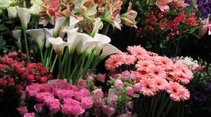 День безкоштовного кошика квітів (Free Flower Basket Day), що відзначається 4 січня,