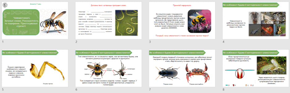 0603b6n0-6773-940x302.png