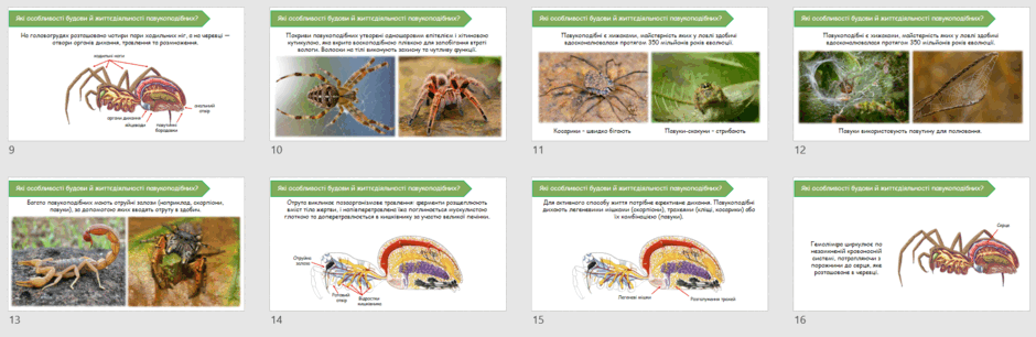 0603b6np-f22d-940x306.png