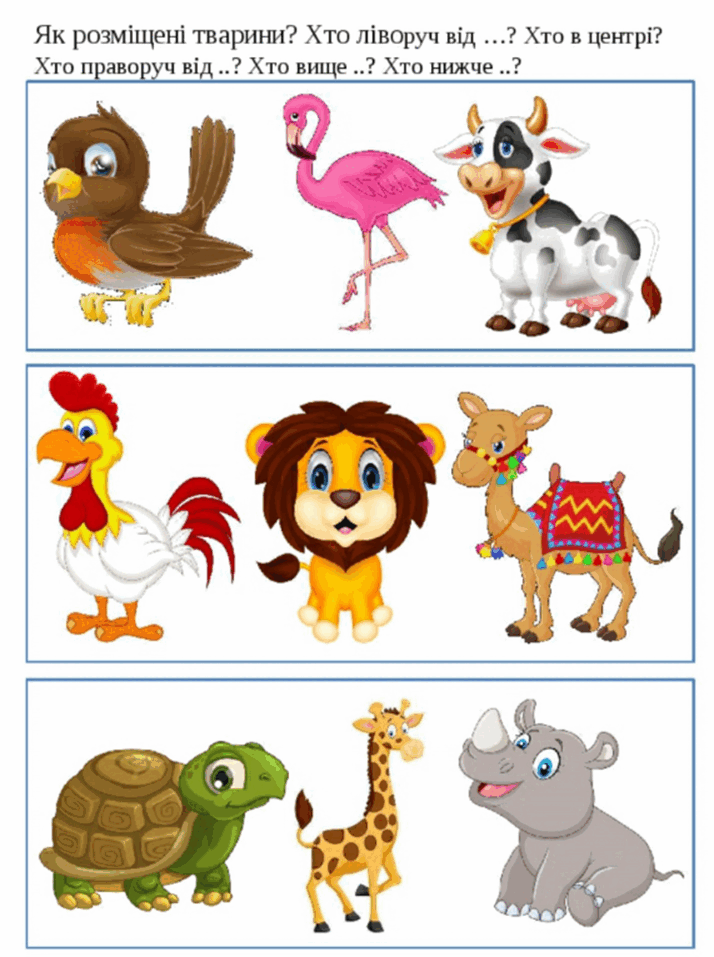 0603b7fx-0e19-714x957.png