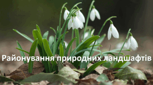 Презентація до уроку: "Районування природних ландшафтів"