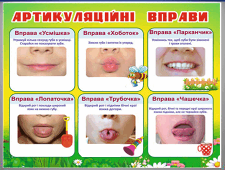 0603b8o5-6dee-460x348.png