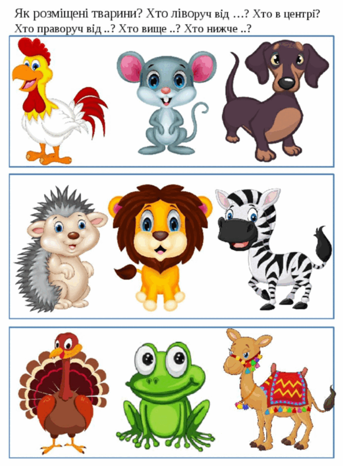 0603b8pn-7c76-705x957.png