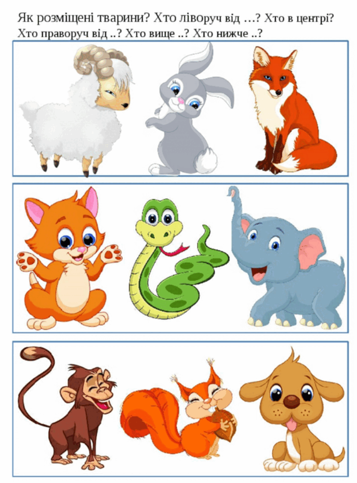 0603b8wk-f6dc-710x961.png