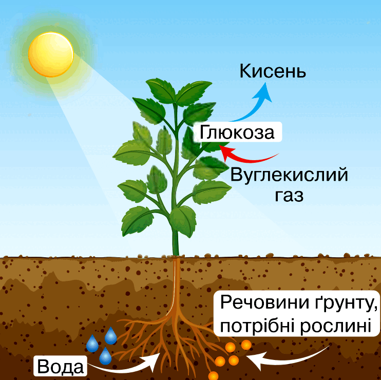 0603bain-e075-742x740.png