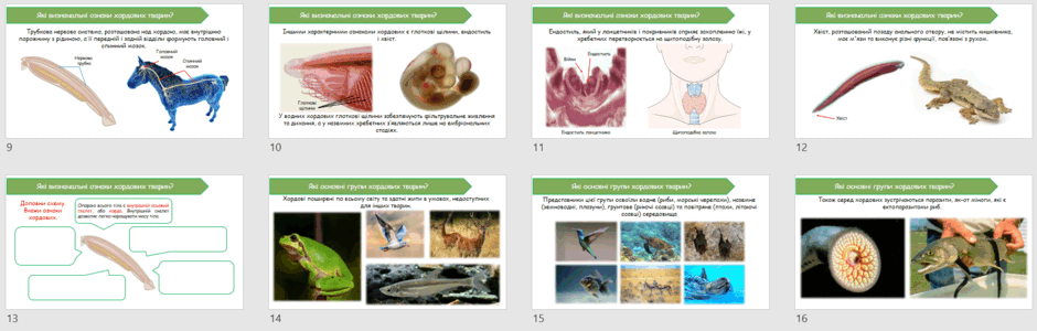 0603bb14-175f-940x300.png