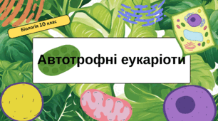 Автотрофні еукаріоти.