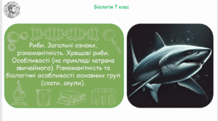 Презентація, конспект уроку та робочі аркуші на тему "Риби. Загальні ознаки, різноманітність. Хрящові риби. Особливості (на прикладі катрана звичайного). Різноманітність та біологічні особливості основних груп (скати, акули)". 7 клас НУШ