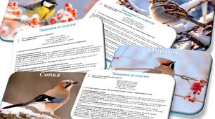 Інформаційний комплект "Птахи взимку"+картка-схема для складання опису