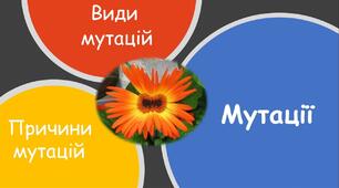 Конспект відкритого уроку на тему " Мутації: види та причини їх виникнення".